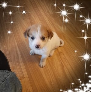 Meet your Posher, Brieauna